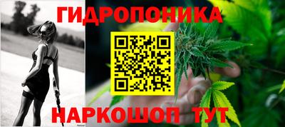 прущие грибы Лесосибирск