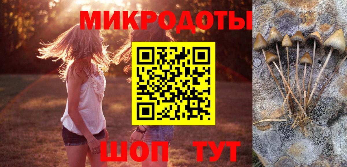 Галлюциногенные грибы мицелий  Вход с VPN  Железноводск 